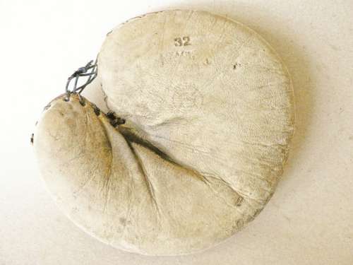 Reach Special 32 Front